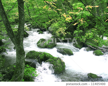 Oirase流 Oirase流 11405400