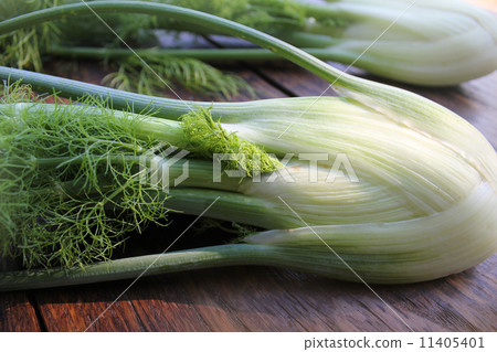 Fresh organic fennel Fresh organic fennel 11405401