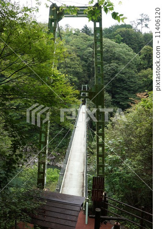 Tenryu Azalea Bridge 11406120