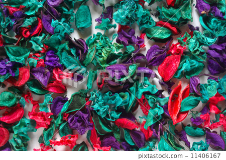 Potpourri 11406167
