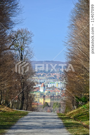 Park in Schonbrunn Palace, Vienna 11407099