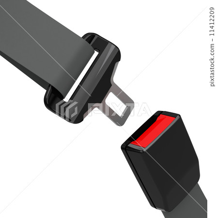 the safety belt 11412209