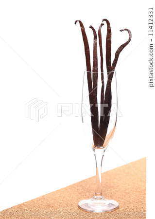 香草豆 香草豆 11412331