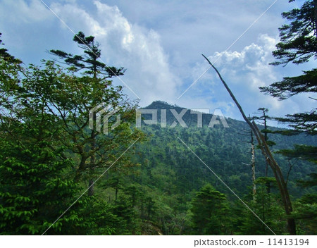 Yatsugatake 11413194