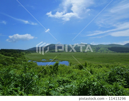 Yashima Mogara Yashima Mogara 11413296