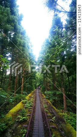 World Heritage Scenery of Yakushima 11413843