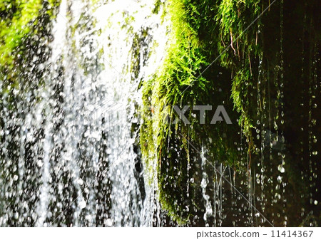 Monkey Bottom Waterfall (Green Drop) Monkey Bottom Waterfall (Green Drop) 11414367