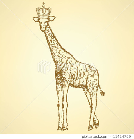 Sketch giraffe in crown,  background 11414799