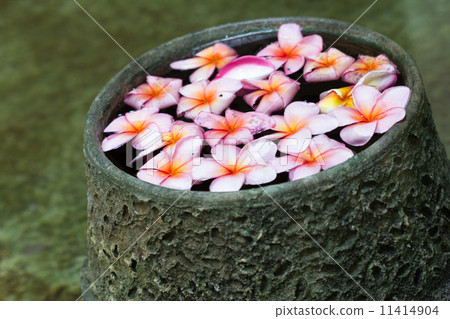 Spa Concept 11414904