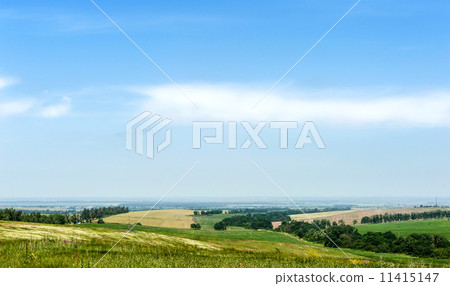 Rural landscape 11415147