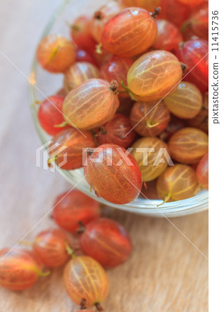 Fresh gooseberry close-up 11415736