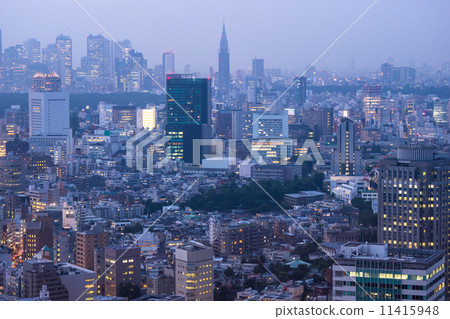 Night view of Tokyo 11415948