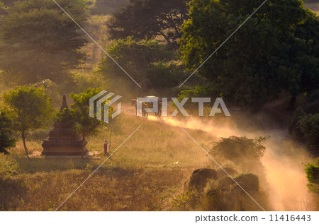 Carriage of Bagan plain 11416443