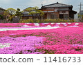 Moss grass at the memorial hall 11416733
