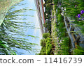 Horikiri iris garden 11416739