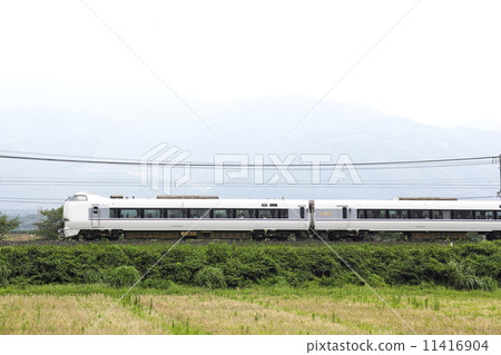 有限快遞Shirasagi 11416904