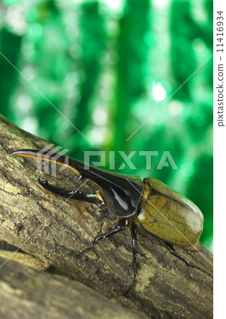 赫拉克勒斯巨型猴子 11416934