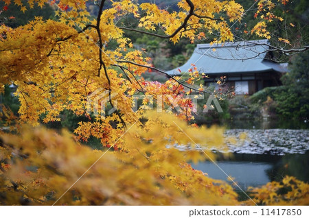 龍安寺鏡子密封 11417850