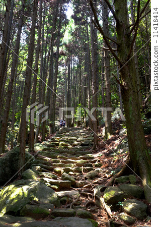 Kumano Kodo 11418414