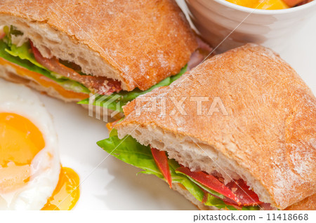 ciabatta panini sandwich eggs tomato lettuce ciabatta panini sandwich eggs tomato lettuce 11418668