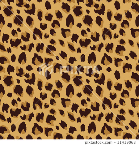 豹紋 豹紋 11419068