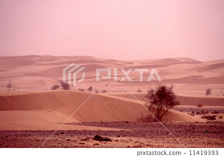 Sand dune wrapped in Hermattan 11419393