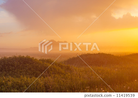 Foggy meadow at sunset 11419539