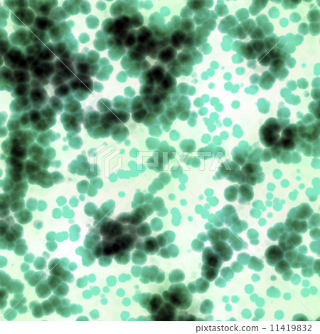 Bacteria cells close up Bacteria cells close up 11419832