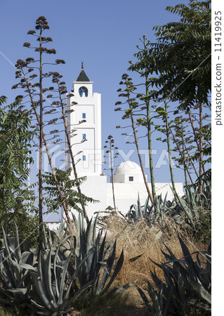 Sidi Bou Said Mosque, Tunisia 11419925