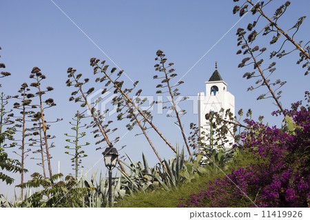 Sidi Bou Said Mosque, Tunisia 11419926