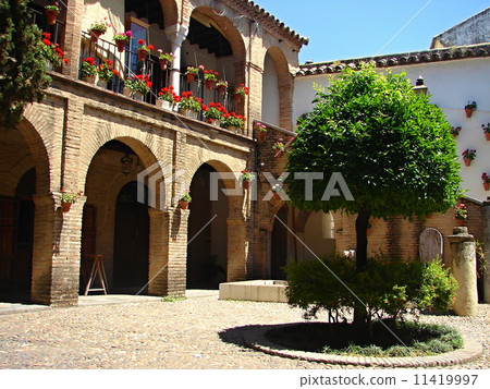Streets of Sevilla, Spain 11419997