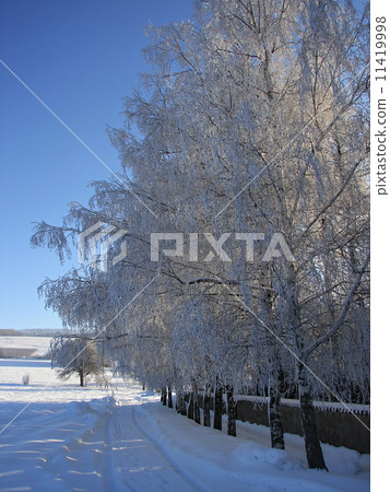 Snowy countryside 11419998