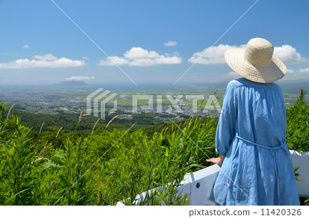 函館山的景色 11420326