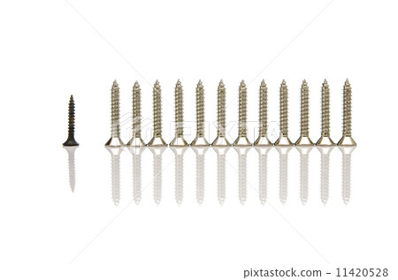 screws on white 11420528