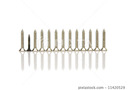 screws on white 11420529