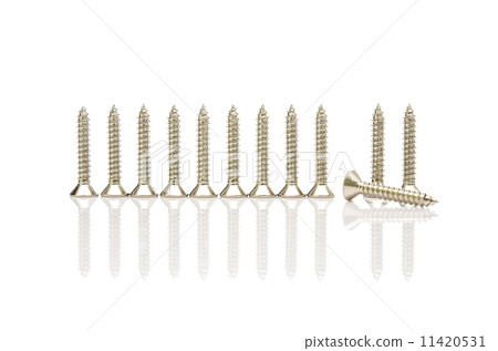 screws on white 11420531