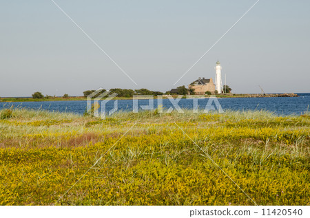 Hogby lighthouse at the swedish island Oland 11420540