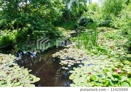 生活小區 生活小區 11420899