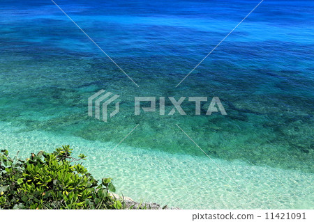 Sea of Kutakajima 11421091