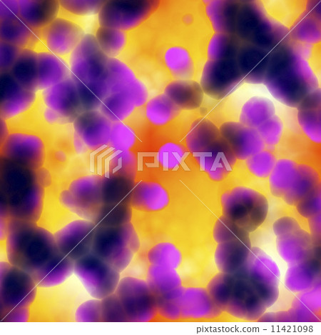 Bacteria cells close up Bacteria cells close up 11421098