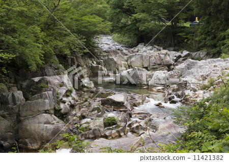 Clear current of Kurokawa water source border Clear current of Kurokawa water source border 11421382