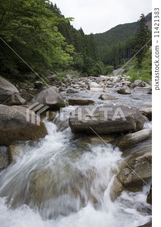 Clear current of Kurokawa water source border Clear current of Kurokawa water source border 11421383