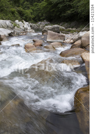 Clear current of Kurokawa water source border Clear current of Kurokawa water source border 11421384