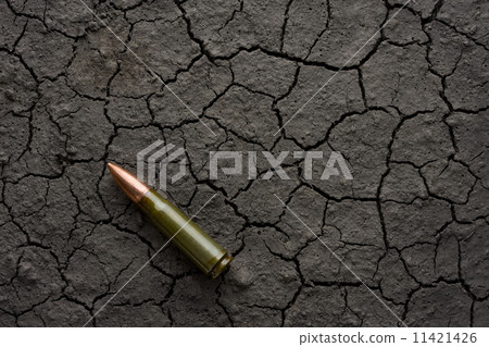 Cartridge over wasteland 11421426