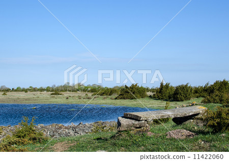 Weathered bench 11422060