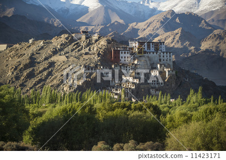 Spituk Monastery 11423171