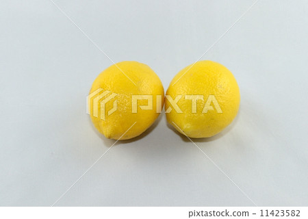 檸檬 11423582