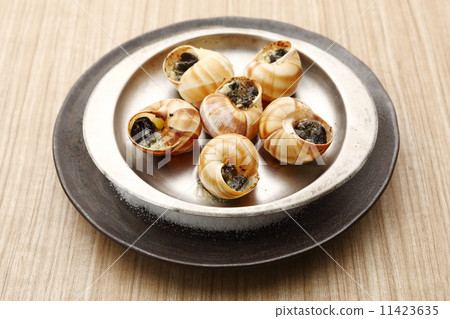 Escargot 11423635