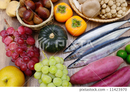 Autumn taste 11423970