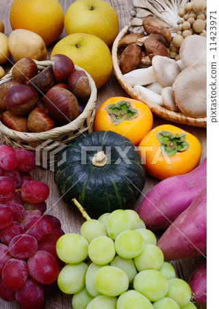 秋天的味道 秋天的味道 11423971